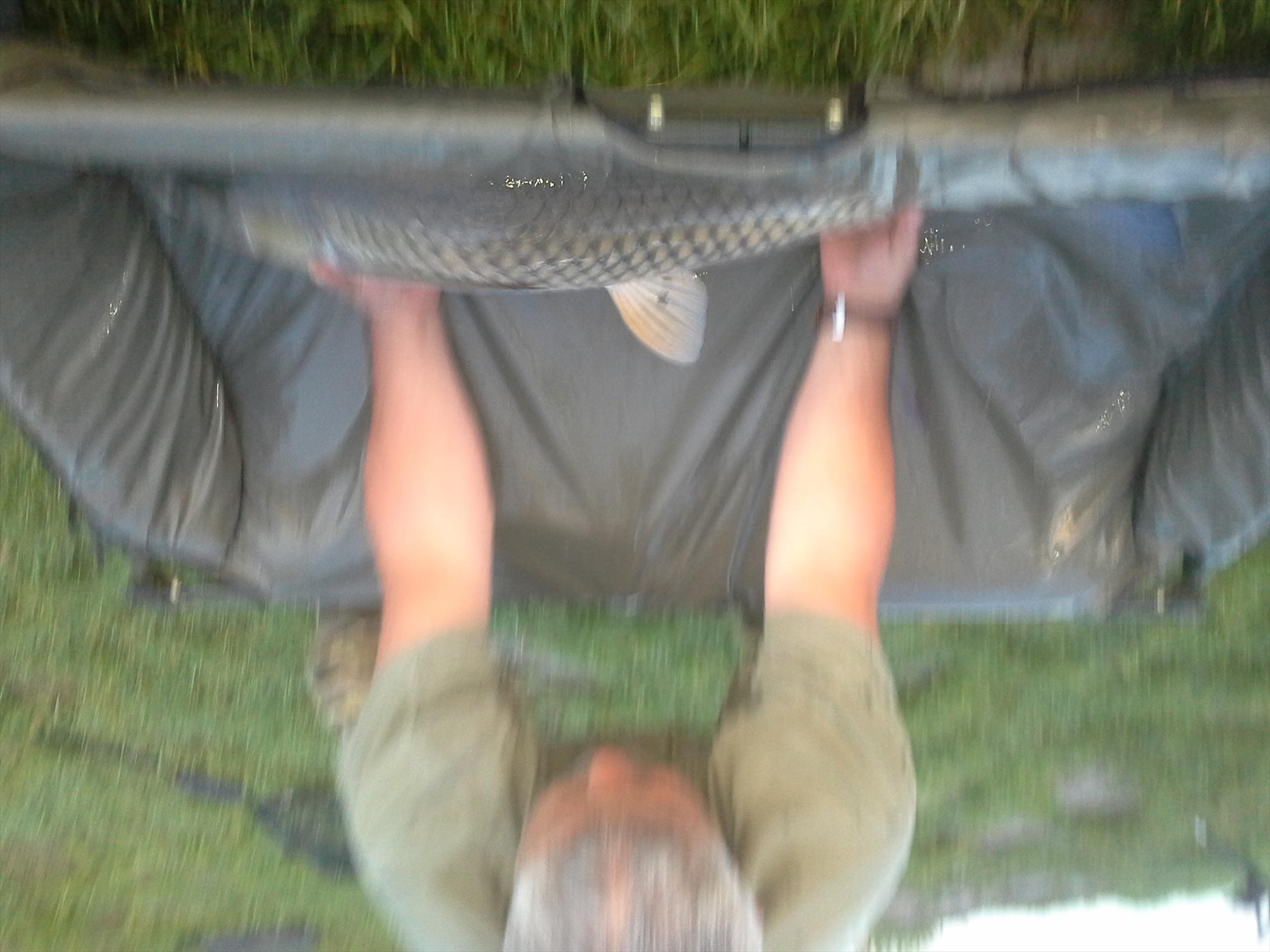 Pescuit la crap - 201304270620591.jpg